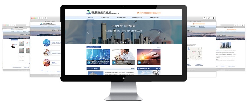 金百瑞科技成功升级国药控股集团官网，助力武汉企业网站建设新高度